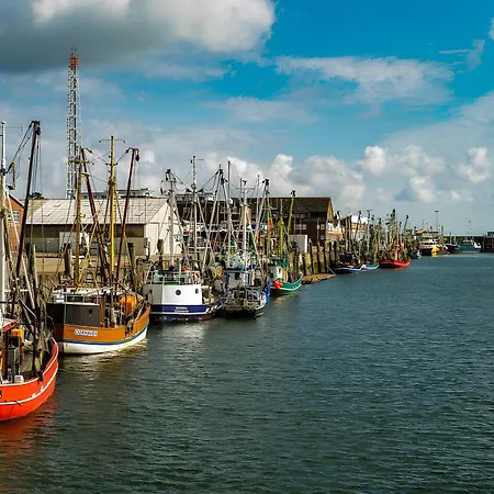 Haus Lechner 3* 쿡스하펜