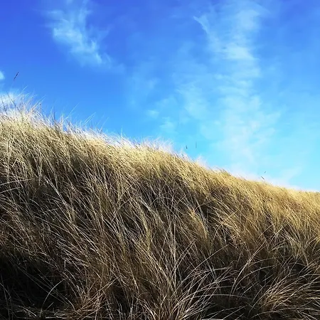 Haus Lechner Guest house 3*