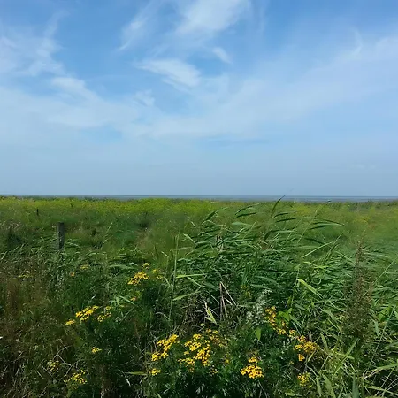 Haus Lechner ゲストハウス 3*